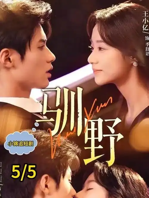 第七法庭全集手机免费在线观看